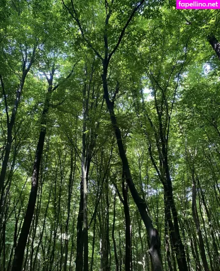 Nutscracker8306 OnlyFans Thumbnail #wXpQVL2Qd0