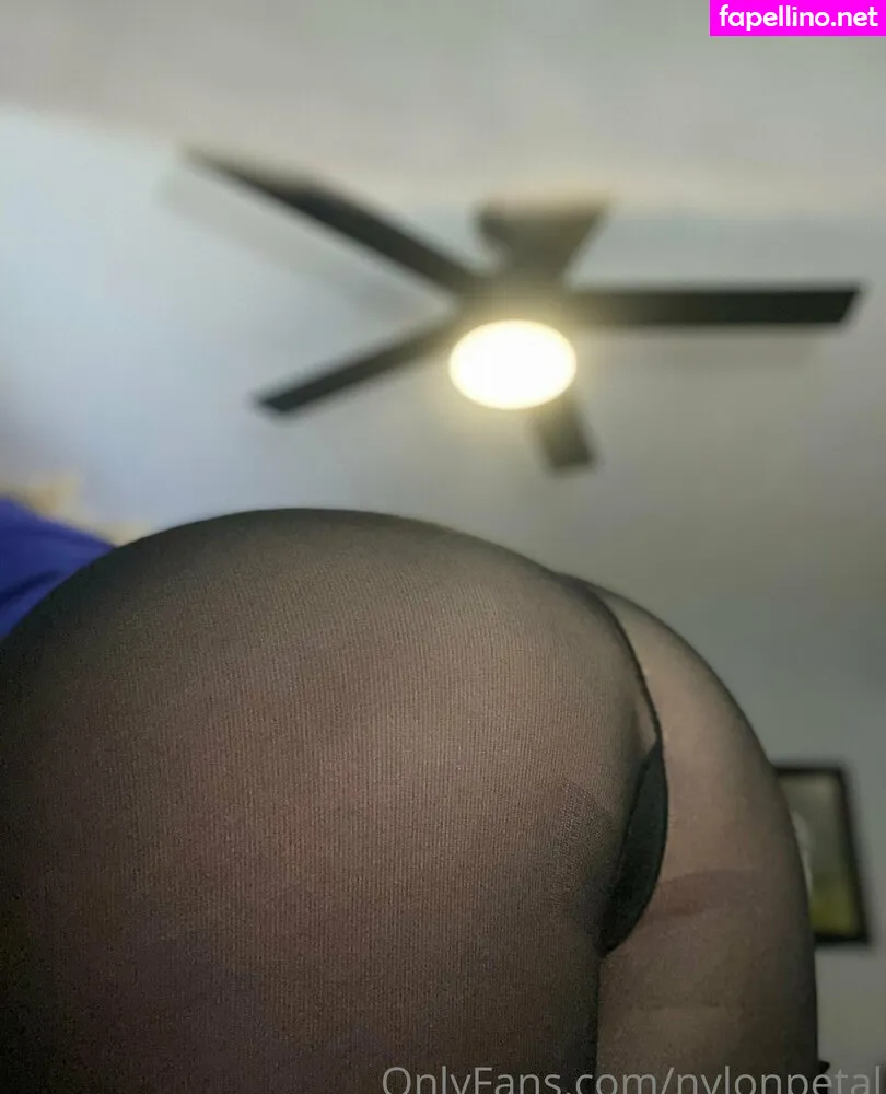 nylonpetal Nude Leaked OnlyFans Photo #UpsbxpeHkt