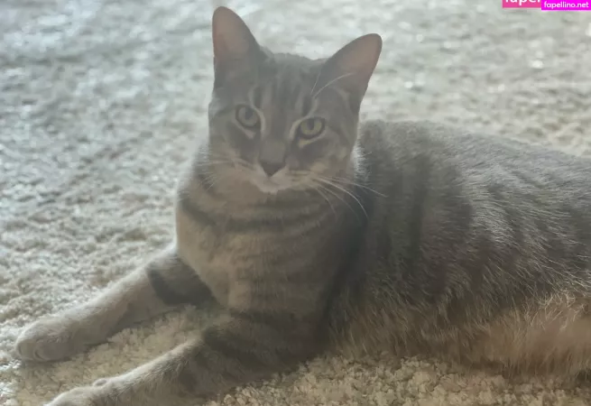 Nyxiedust OnlyFans Thumbnail #iCLTCwjBGl