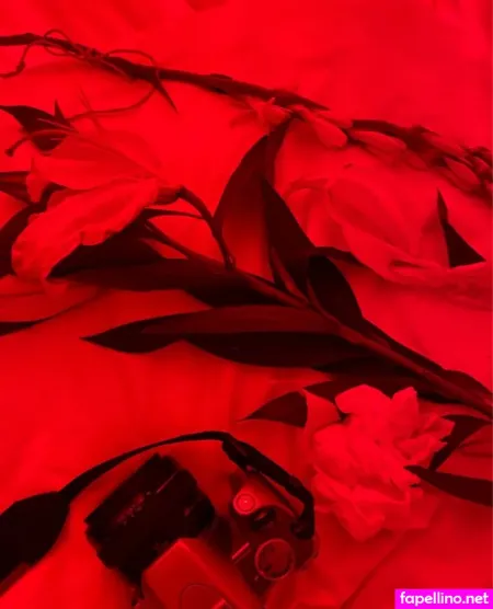 Obs Cure OnlyFans Thumbnail #0hiyWcE4ey