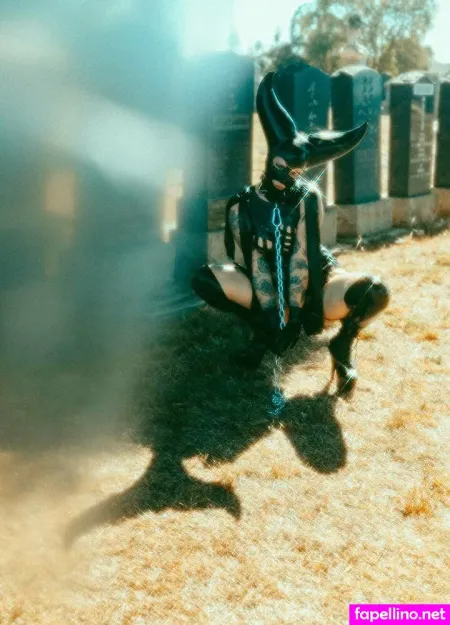 Octavekitten OnlyFans Thumbnail #MjoHrJtHR5