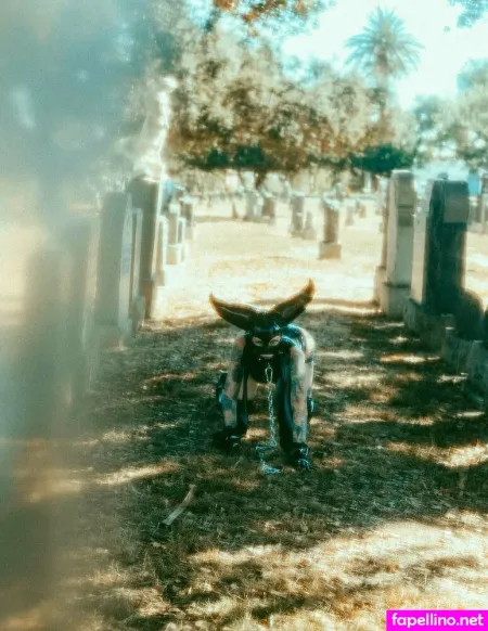 Octavekitten OnlyFans Thumbnail #WXmo74BnIl