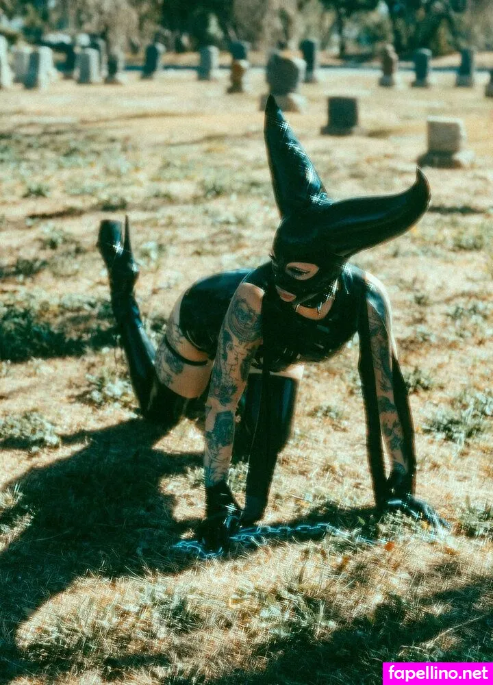 octavekitten Nude Leaked OnlyFans Photo #mniiGFEeIP