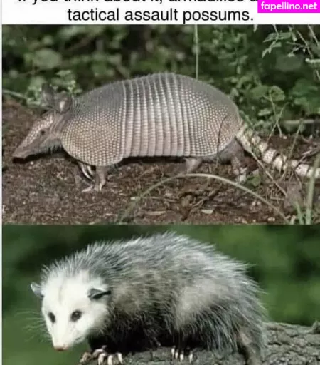 Ocuriouso OnlyFans Thumbnail #sctwUwhaP9