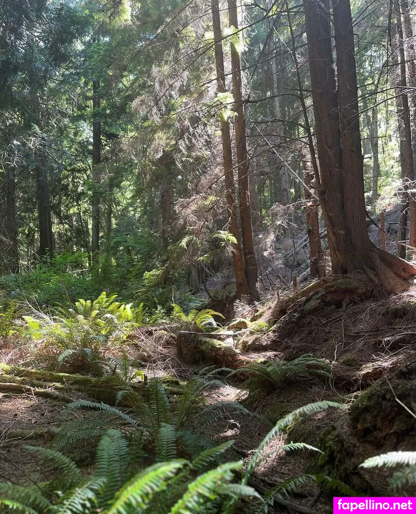 offgridamelia Nude Leaked OnlyFans Photo #tI42wVKXNp