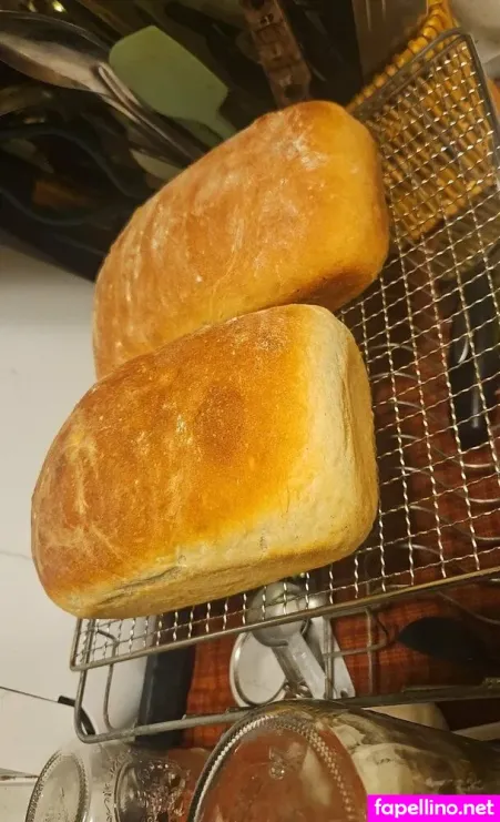 Offgridluvshack Main Profile Photo