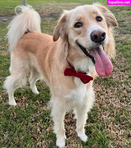 Official Antonellakahllo OnlyFans Thumbnail #oDUT6ZgeVQ