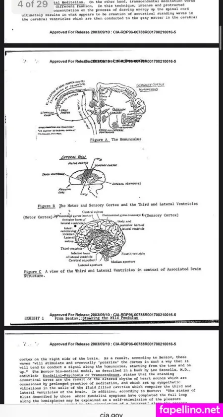 Oftvkimtha Main Profile Photo
