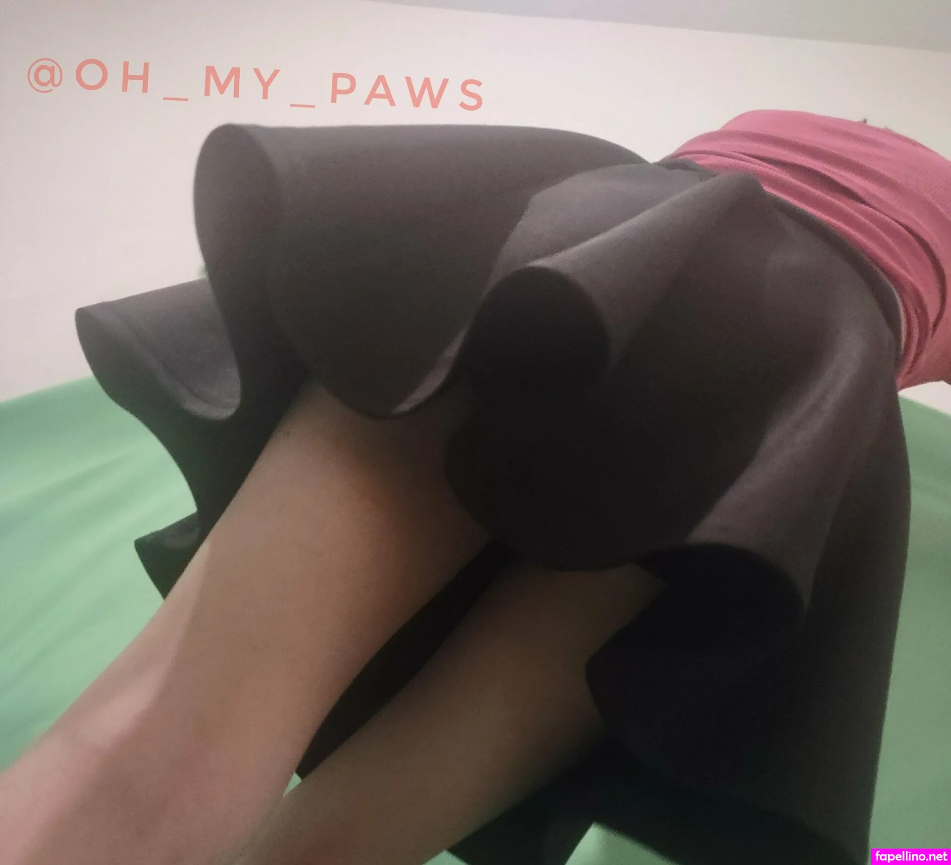 oh.my.paws, oh_my_paws Nude Leaked OnlyFans Photo #QQBn9RCIKX
