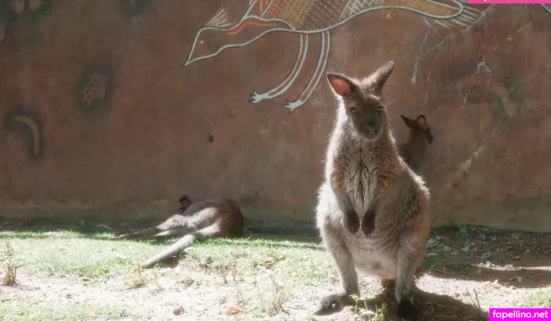 Ohkaylin OnlyFans Thumbnail #kIZMEfdglI