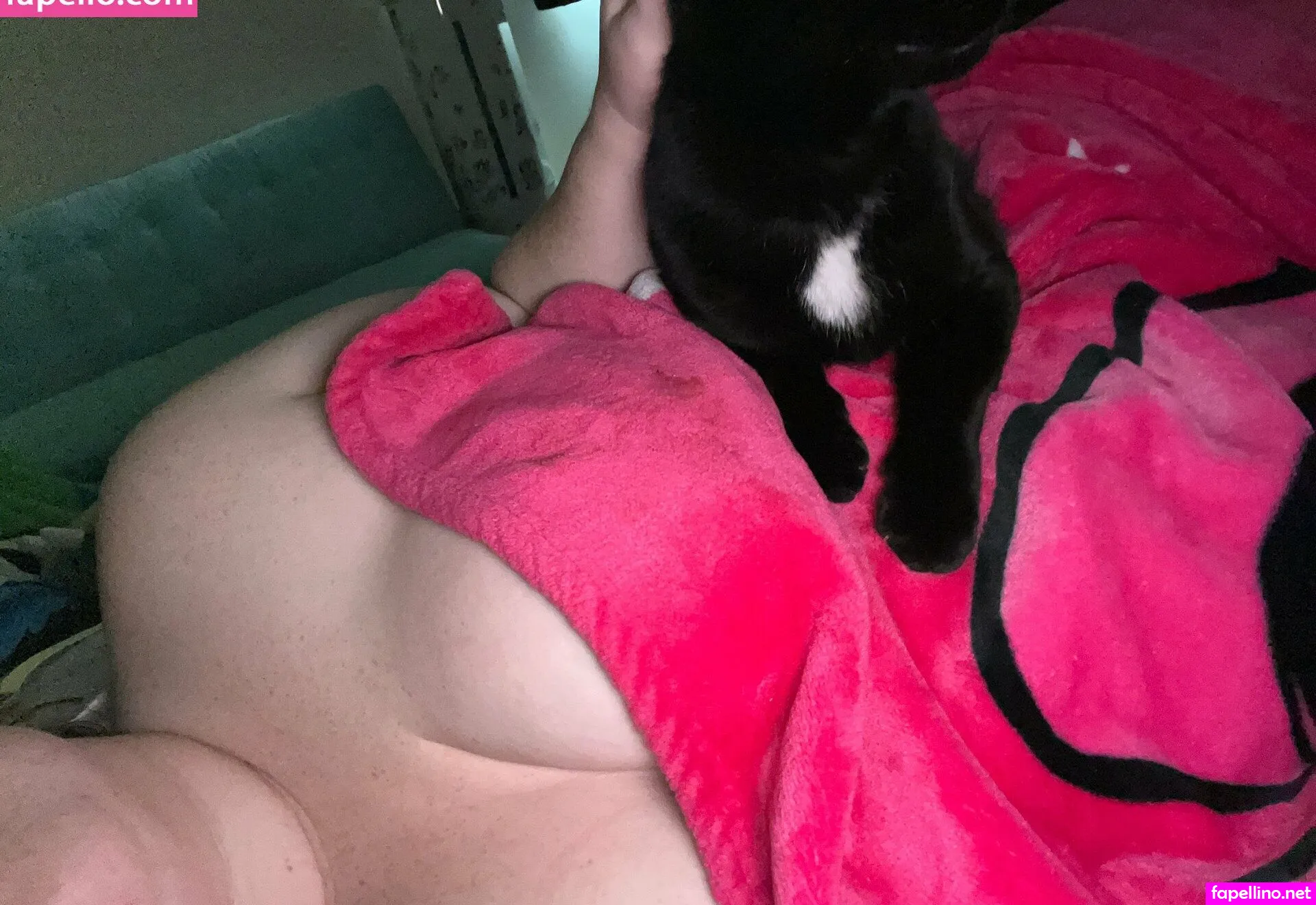 oliviababex, oliviababexo Nude Leaked OnlyFans Photo #41FqVNHqQx