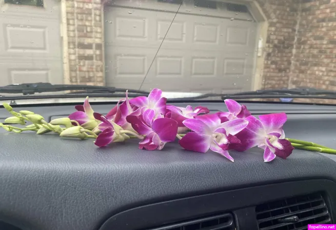 Ollieorose Main Profile Photo