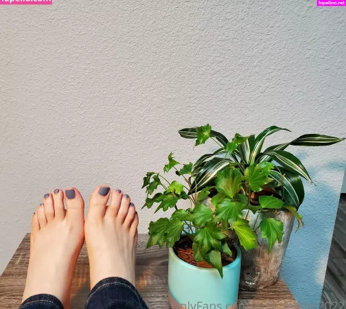Only Feetpc2022 OnlyFans Thumbnail #OPbBr8zUFh