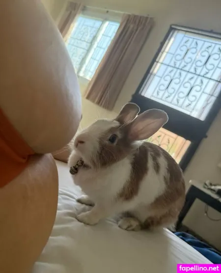 Only Menny 1 OnlyFans Thumbnail #dj58uEAnLR