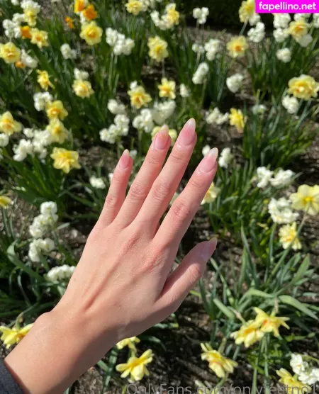 Onlyfeetno1 OnlyFans Thumbnail #cY5WOJ33hv