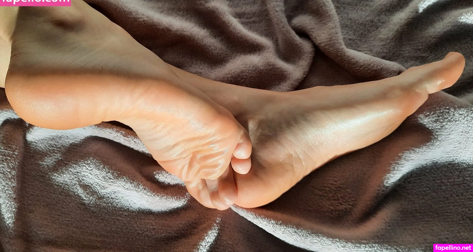 onlymypaws, onlypawsus Nude Leaked OnlyFans Photo #JricffQD45