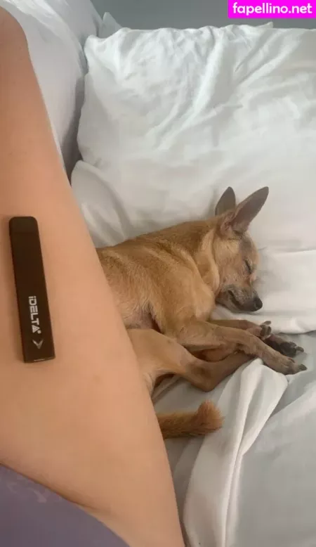 Onlyselkie OnlyFans Thumbnail #7iBi6rao02