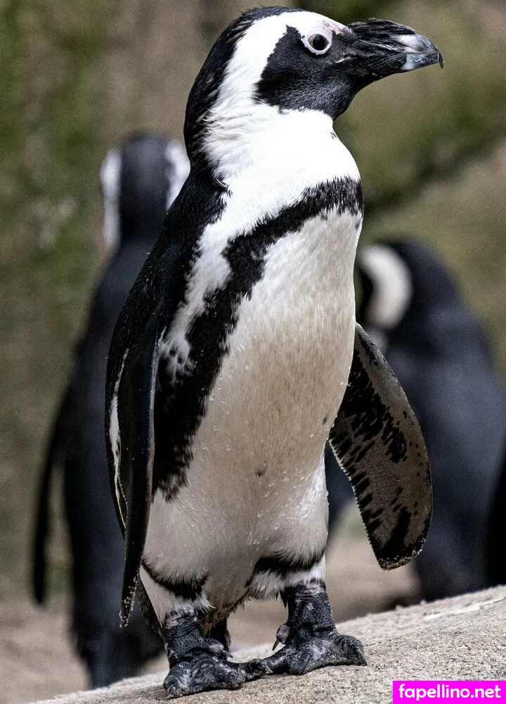 onlysmithy, simply_smithy Nude Leaked OnlyFans Photo #JXTREZKbm1