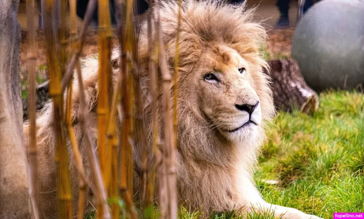 Onlysmithy OnlyFans Thumbnail #PP9Kg2lR2H