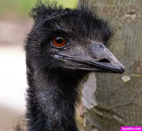 Onlysmithy OnlyFans Thumbnail #QVCpY6mja3