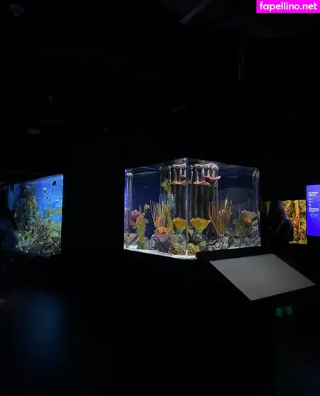 Onyour Bunny OnlyFans Thumbnail #SFtwtFrXeN