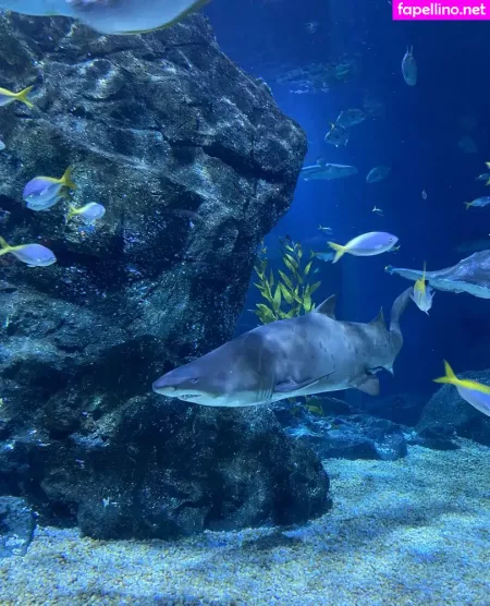 Onyour Bunny OnlyFans Thumbnail #U5N2xFoYng