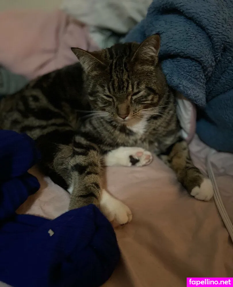 ophelia_610, opheliakaan10 Nude Leaked OnlyFans Photo #TYASCA3i8Y