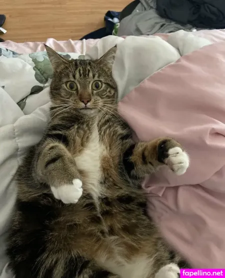 Opheliakaan10 OnlyFans Thumbnail #tgqLY1N5DR