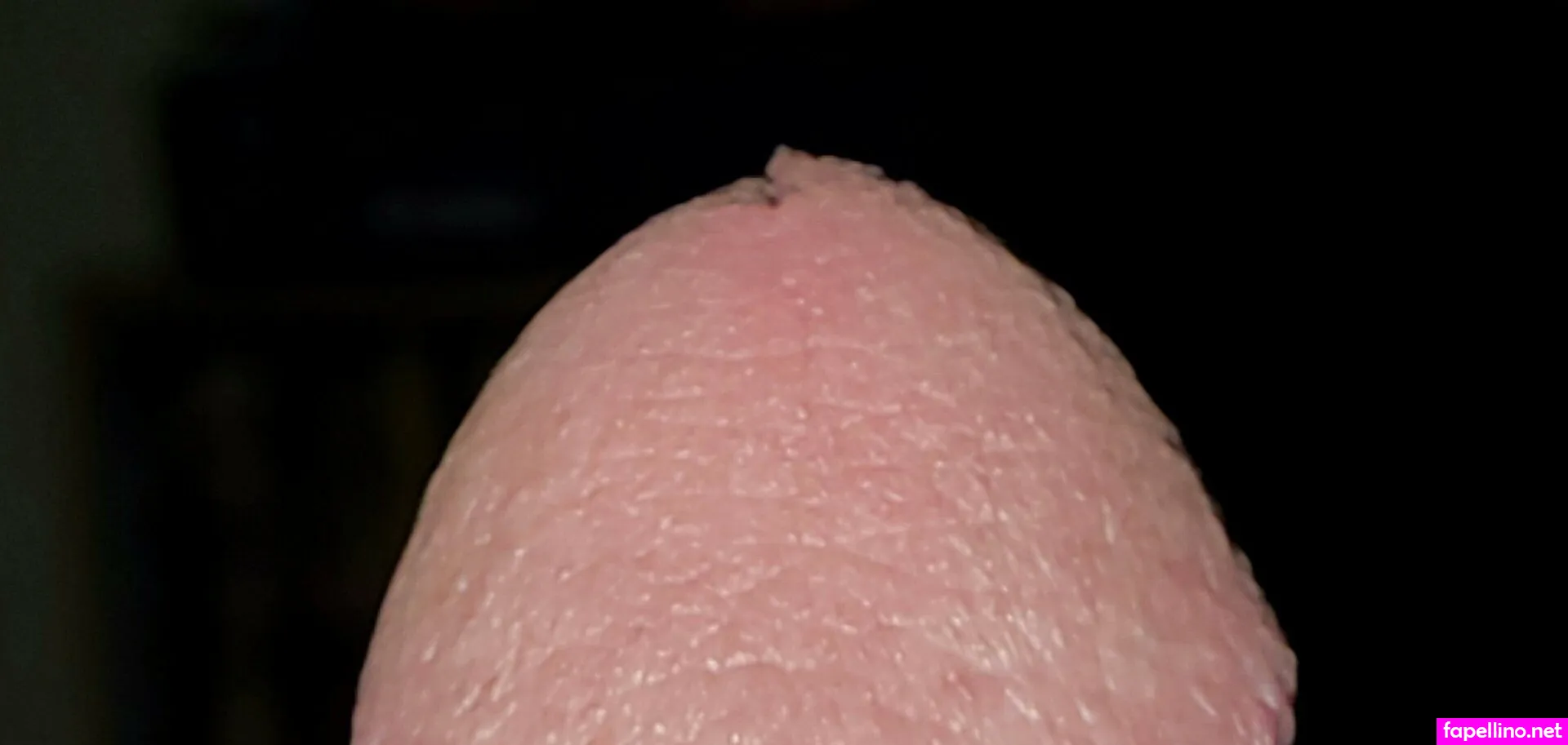 katesaveshyrule, opjwathe2 Nude Leaked OnlyFans Photo #pFbfEoedXO