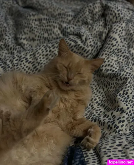 Orgasm69 OnlyFans Thumbnail #D0JKvT3TZa