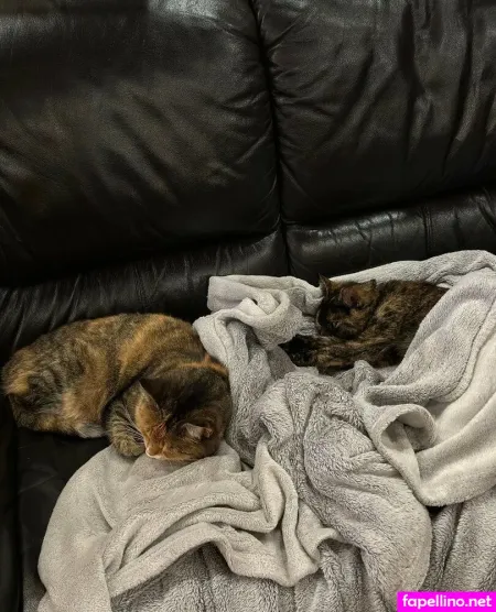 Orgasm69 OnlyFans Thumbnail #Pn9dfBUUaN