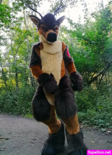 Orun The Deer OnlyFans Thumbnail #DhHpi4iHmj