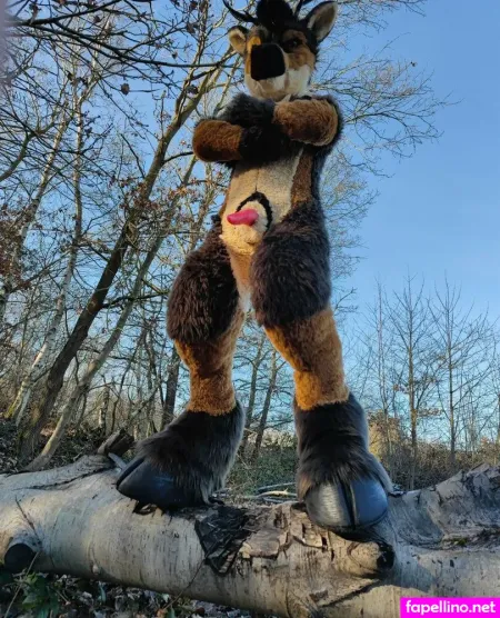 Orun The Deer OnlyFans Thumbnail #XeDIyD4ngF