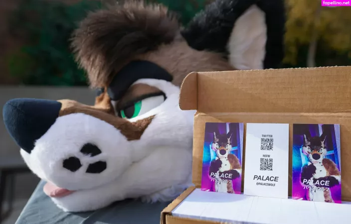 Palacewolf OnlyFans Thumbnail #S7qK8yZVSk