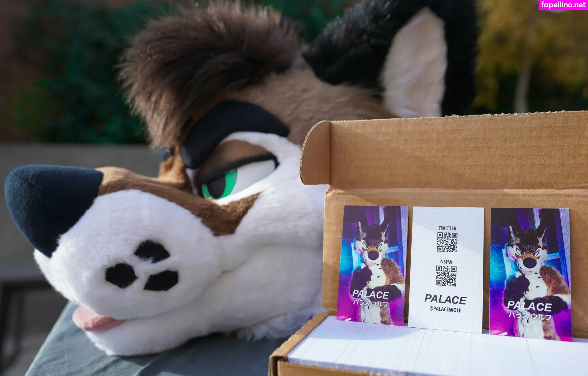 palacewolf, palacewolfent Nude Leaked OnlyFans Photo #S7qK8yZVSk