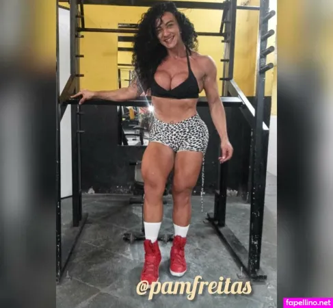 Pamfreitas Main Profile Photo