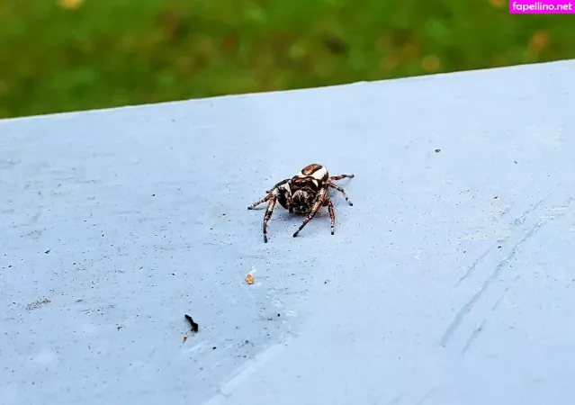 Pandafluff1137 OnlyFans Thumbnail #EAr4GQS0nu