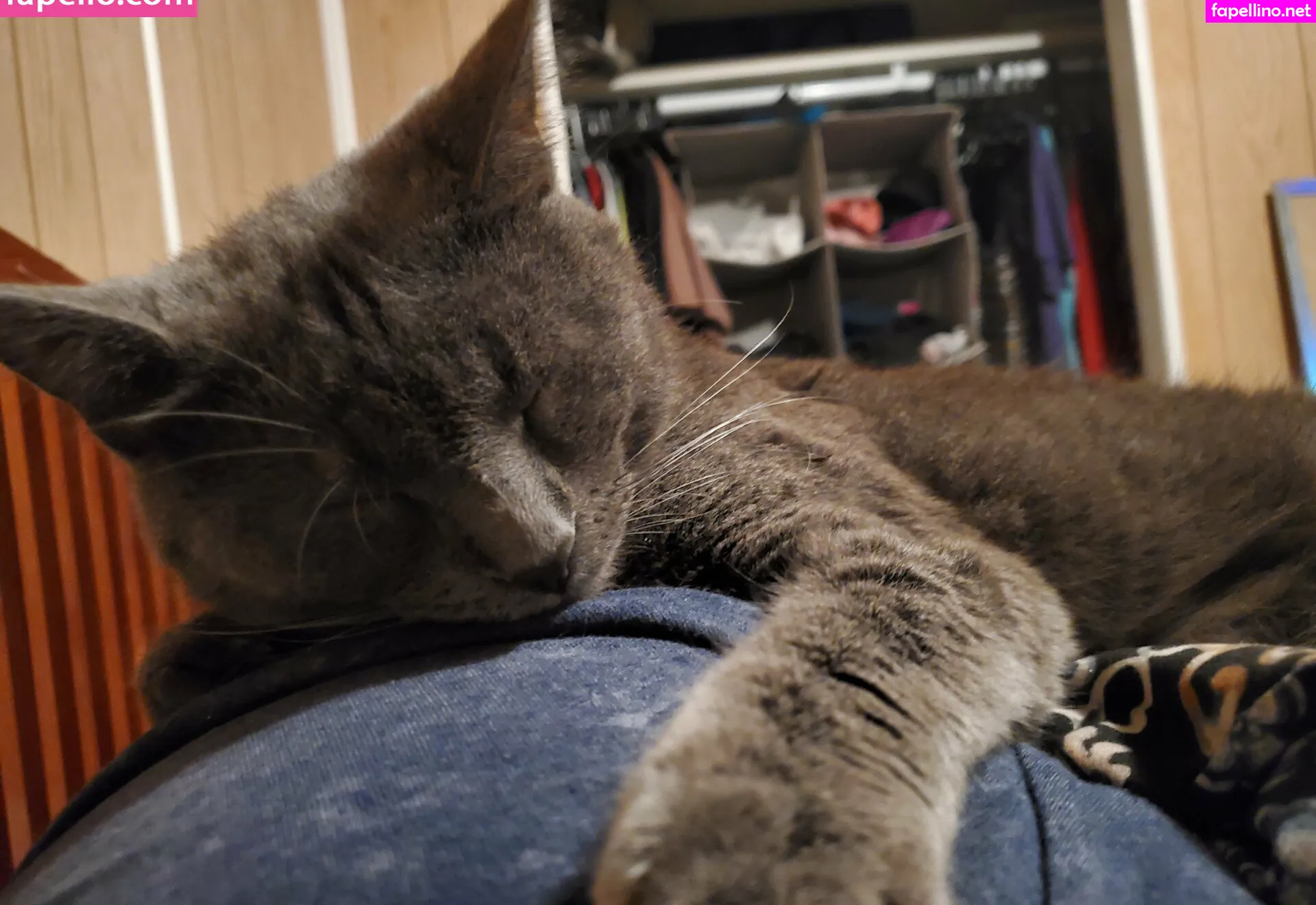 a_marie_art, pandafluff1137 Nude Leaked OnlyFans Photo #dwuPIXPoxL