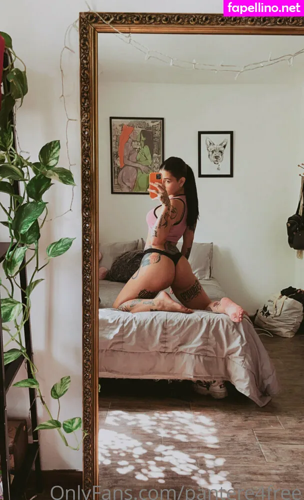 p_a_n_t_e_r_r_a__, pantere4free Nude Leaked OnlyFans Photo #lZjv4BnX3q