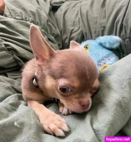 Panteritaaa OnlyFans Thumbnail #FGFaK9iVGo