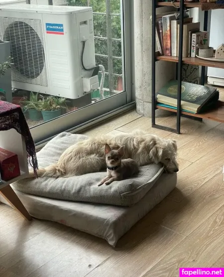 Panteritaaa OnlyFans Thumbnail #JLBYG7fDsG