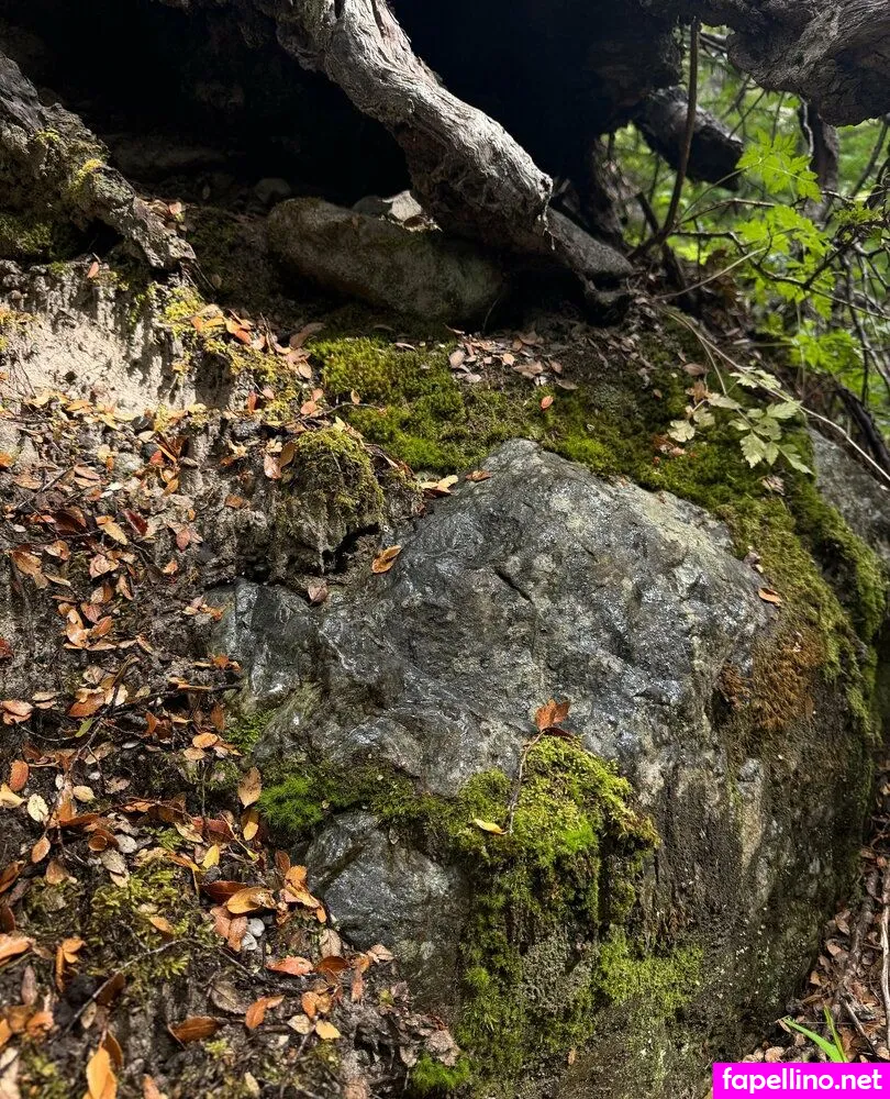 _panteritaaa_, panteritaaa Nude Leaked OnlyFans Photo #VQlaR4ZTdb