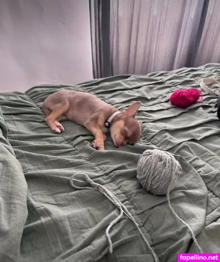 Panteritaaa OnlyFans Thumbnail #lKvs0zKlBf