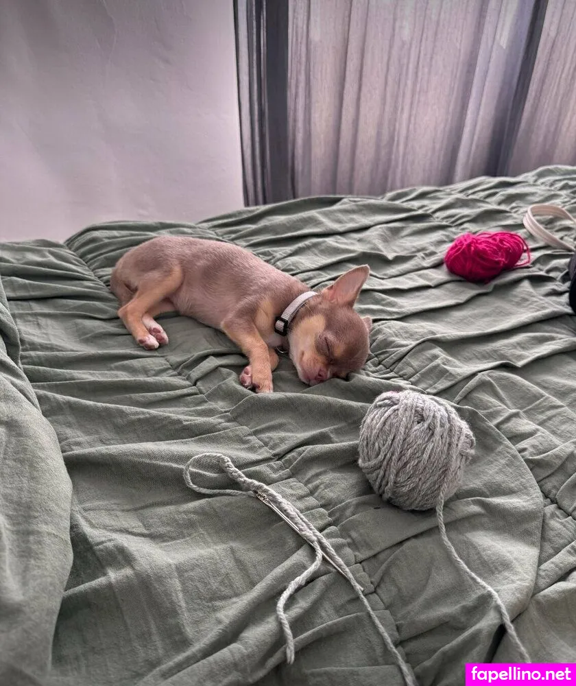 _panteritaaa_, panteritaaa Nude Leaked OnlyFans Photo #lKvs0zKlBf