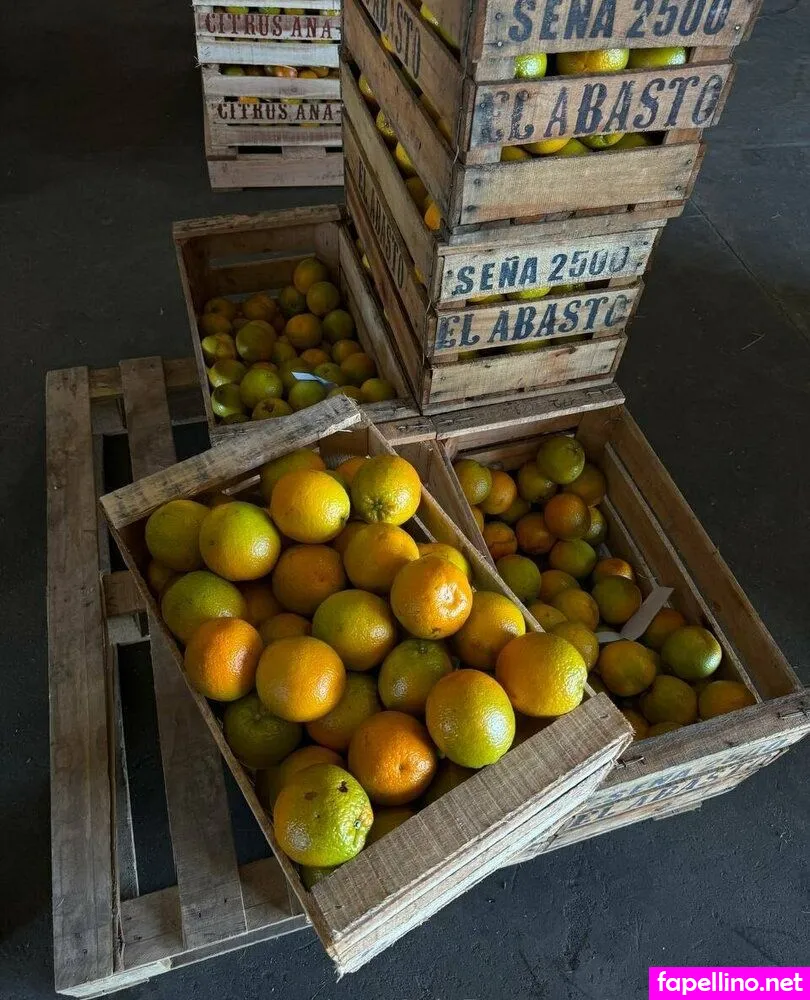 panteritafree Nude Leaked OnlyFans Photo #4LsUcPet4J