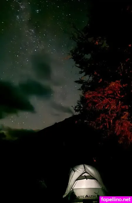 Panteritafree Main Profile Photo