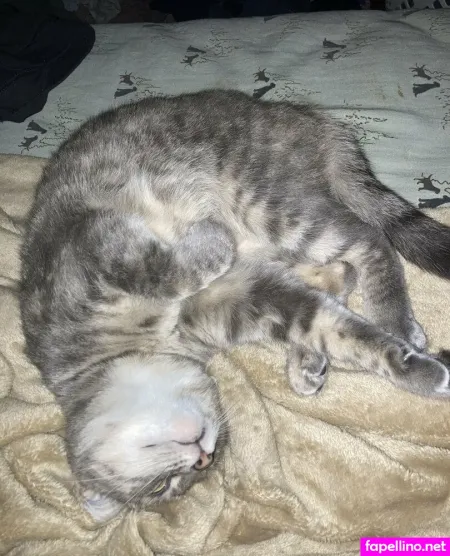 Paytonpeoples OnlyFans Thumbnail #BQRm333jab