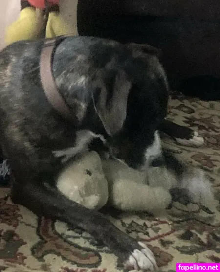 Paytonpeoples OnlyFans Thumbnail #vv6yUN2g7d