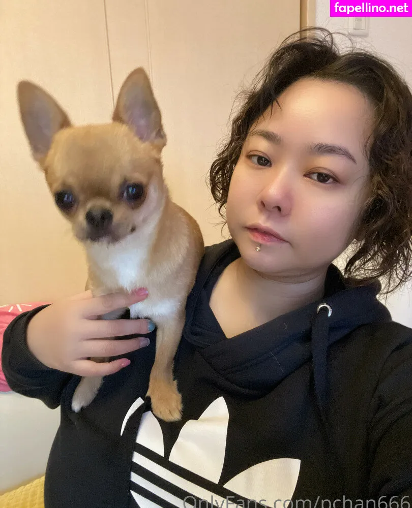 pchan030, pchan666 Nude Leaked OnlyFans Photo #DgWCwCPh69