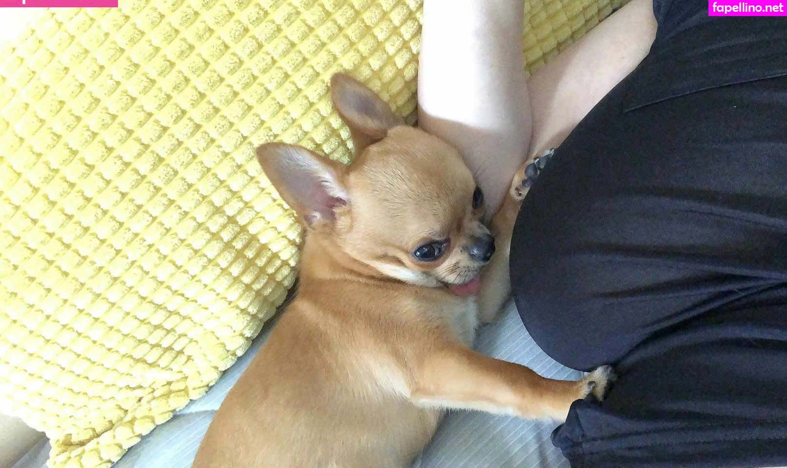 pchan030, pchan666 Nude Leaked OnlyFans Photo #MU7anXYezF